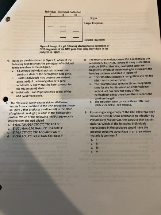 ap biology test on dna structure dna