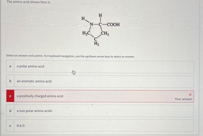 Solved The amino acid shown here is Select an answer and | Chegg.com