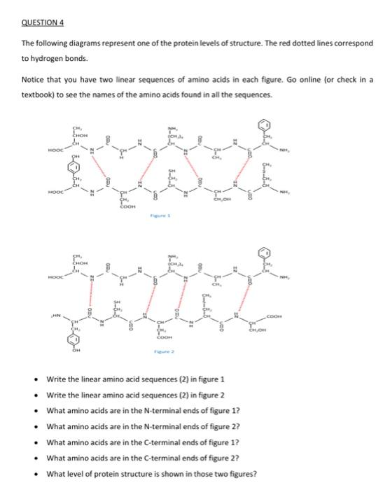 Solved QUESTION 1 Name the functional importance of each of | Chegg.com