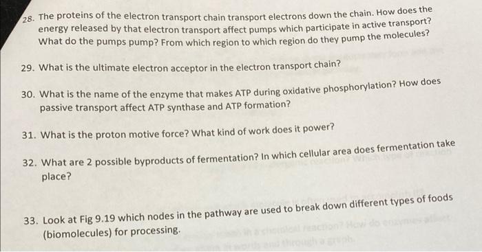 Solved 28. The proteins of the electron transport chain | Chegg.com