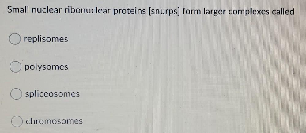 Small nuclear ribonuclear proteins (snurps) form larger complexes called O replisomes polysomes spliceosomes chromosomes