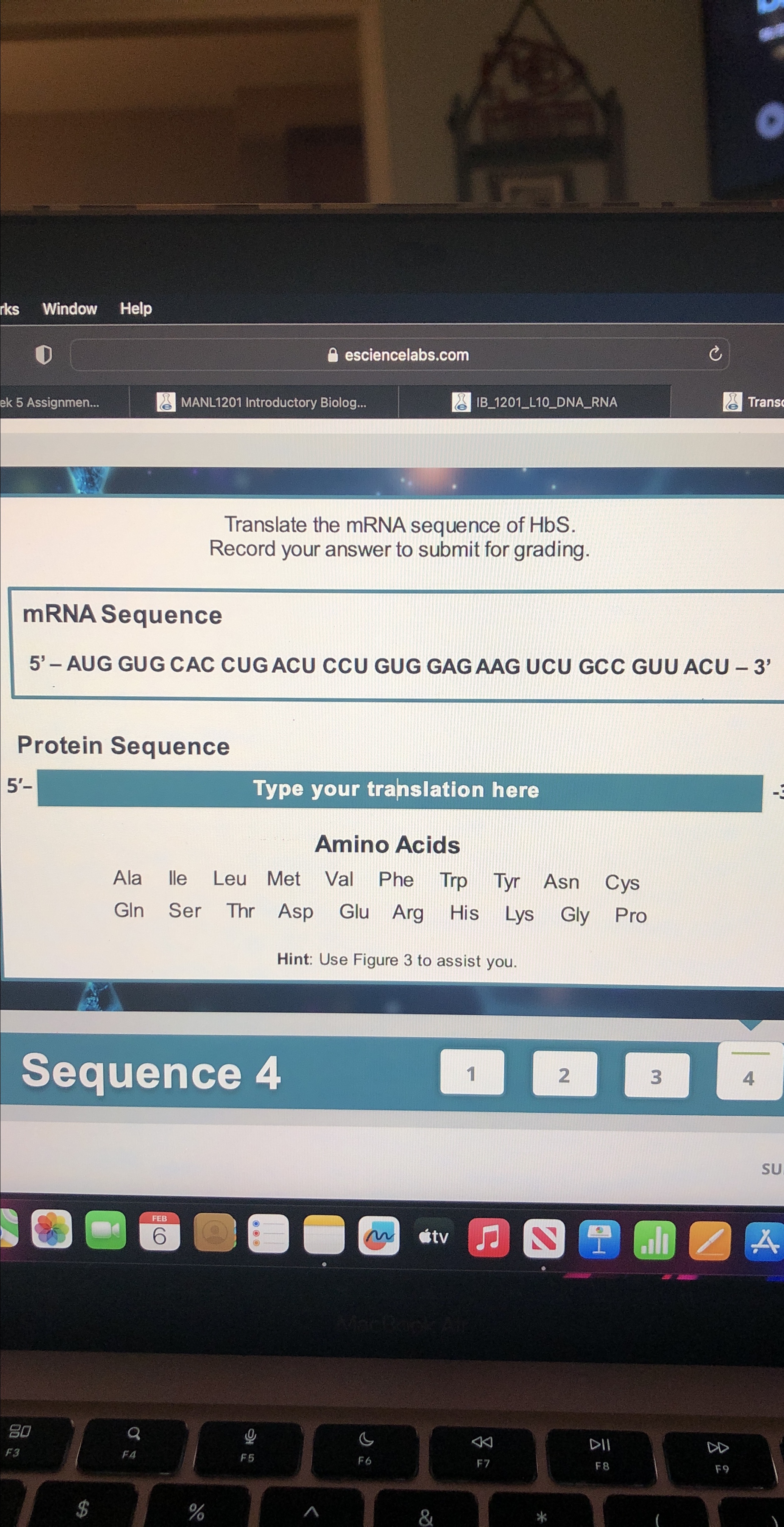 Solved Translate the mRNA sequence of HbS. ﻿Record your | Chegg.com