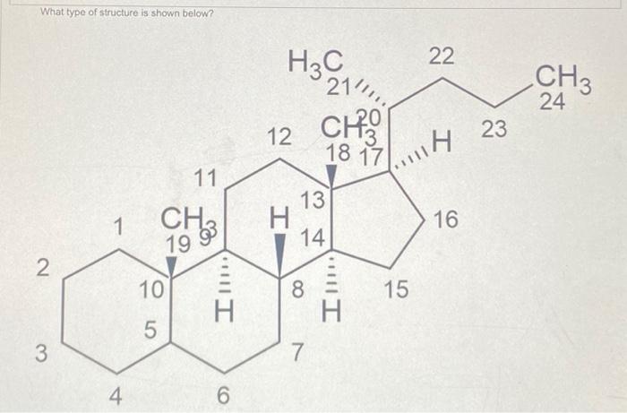 Solved What type of structure is shown below? | Chegg.com