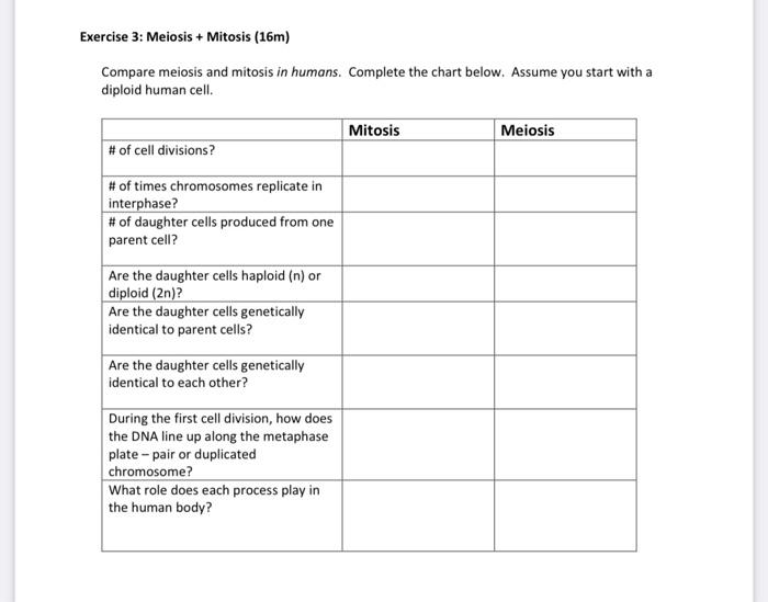 Solved Exercise 3: Meiosis + Mitosis (16m) Compare meiosis | Chegg.com