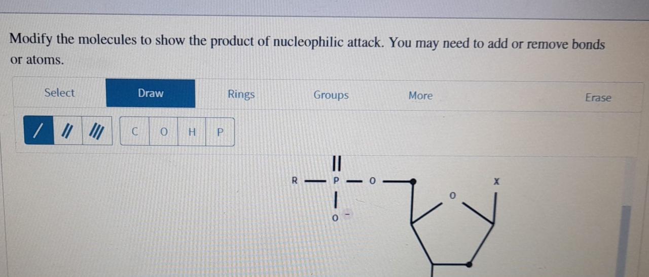 Solved > Nucleotides Add To The 3' End Of A Growing DNA | Chegg.com