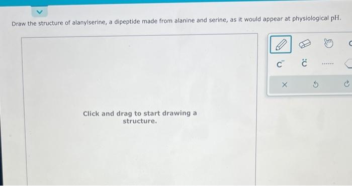 Solved Draw The Structure Of Alanylserine A Dipeptide Made Chegg Com