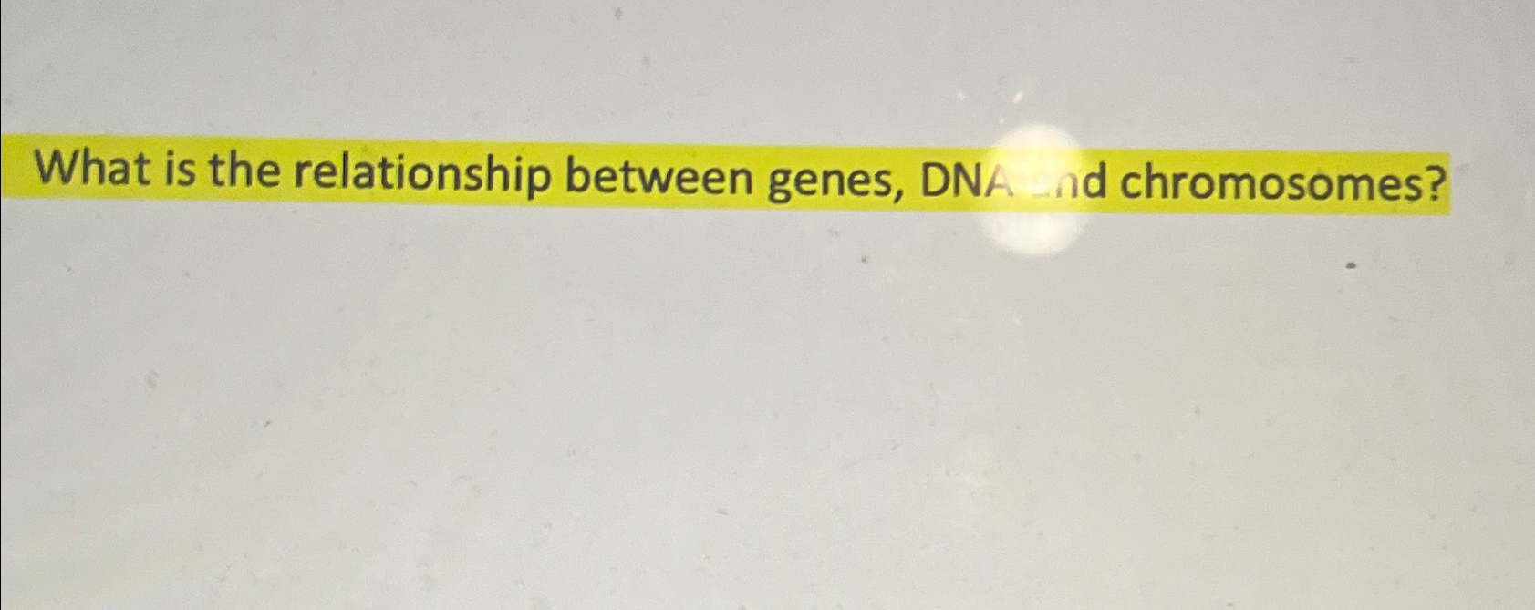 Solved What is the relationship between genes, DNA ad