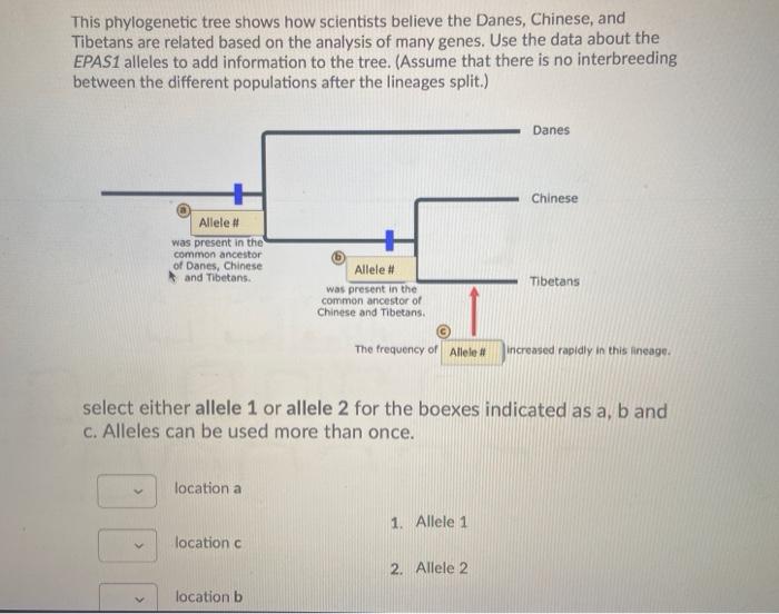 solved-this-phylogenetic-tree-shows-how-scientists-believe-chegg
