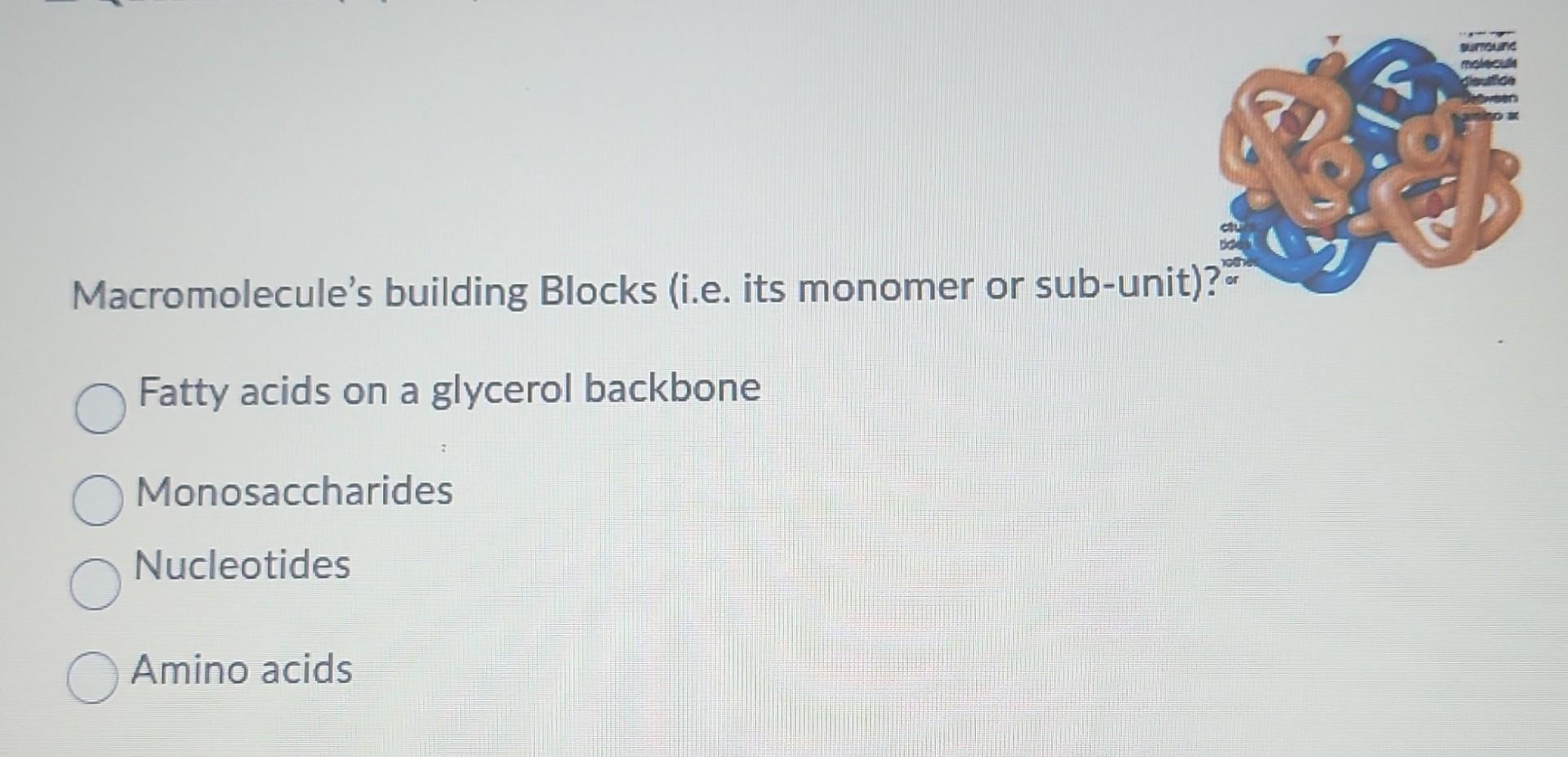 Solved Macromolecule's building Blocks (i.e. its monomer or