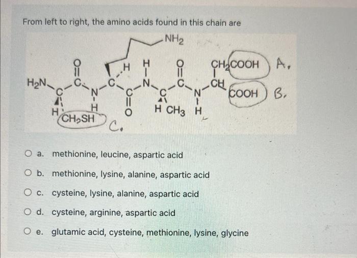 Solved The major lipid components of cell membranes are a. | Chegg.com