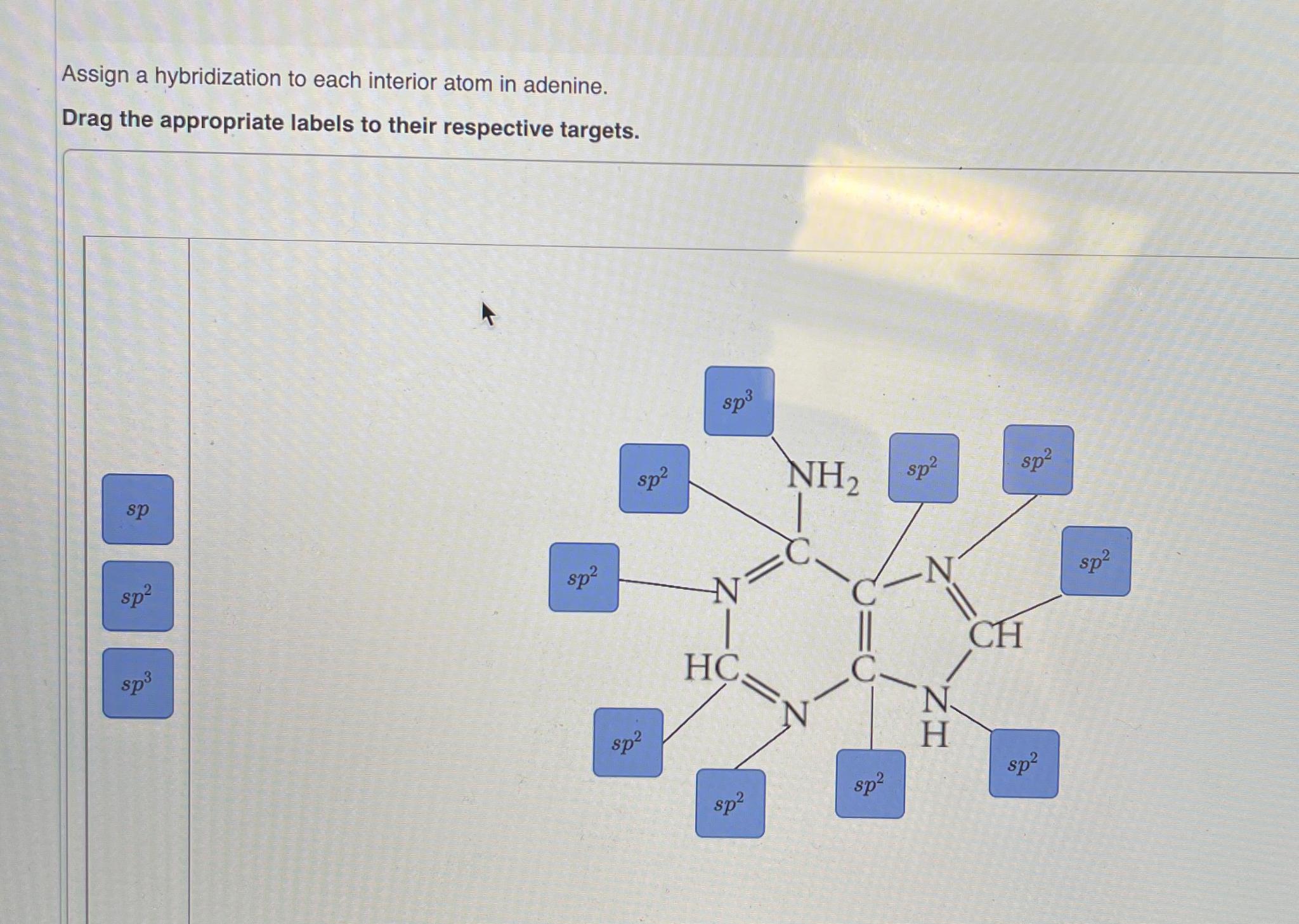 Solved Assign a hybridization to each interior atom in | Chegg.com