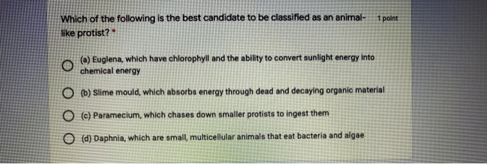 solved-1-point-which-of-the-following-is-the-best-candidate-chegg