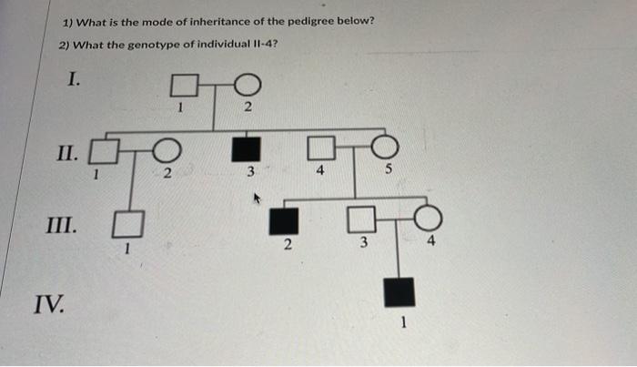 Solved 1) What is the mode of inheritance of the pedigree | Chegg.com