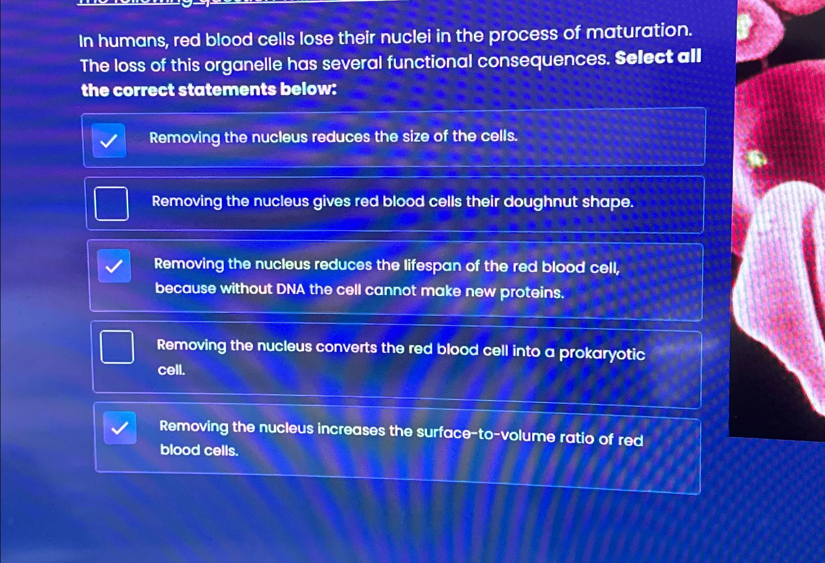 solved-in-humans-red-blood-cells-lose-their-nuclei-in-the-chegg