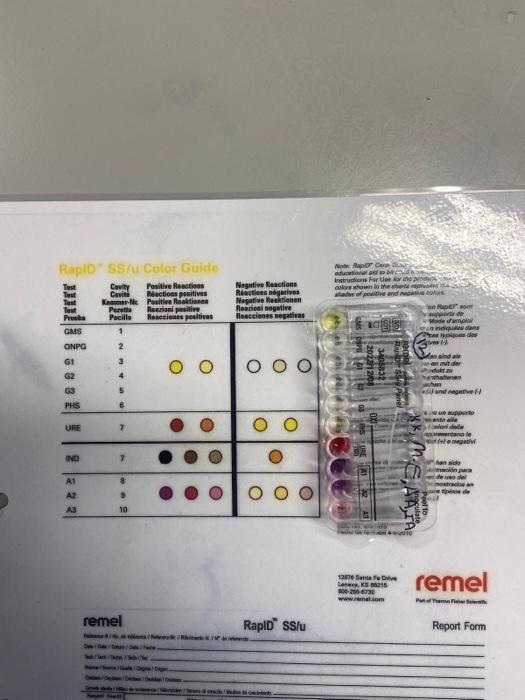 Solved pseudonma aeriginosa was found to be purple in colour | Chegg.com
