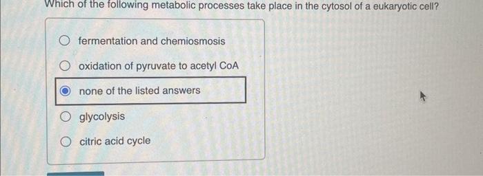 Solved Which of the following metabolic processes take place | Chegg.com