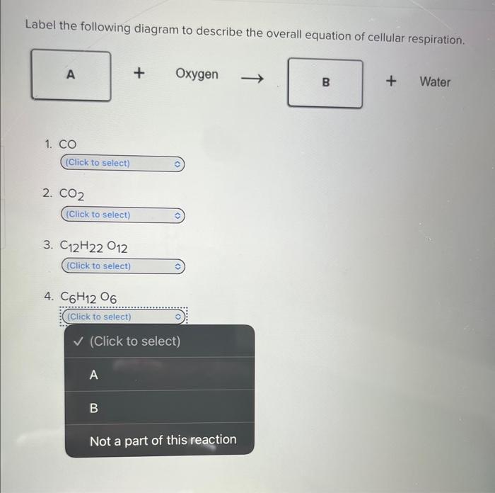 Solved Label the following diagram to describe the overall | Chegg.com