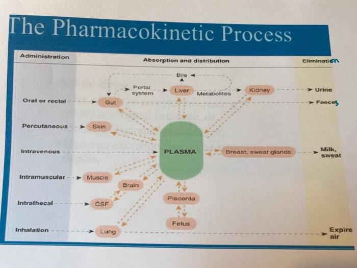Solved The Process Administration Absorption