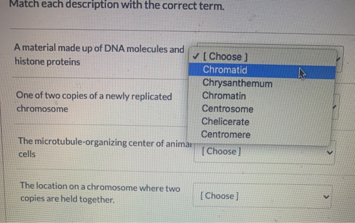 Solved Match each description with the correct term. A | Chegg.com