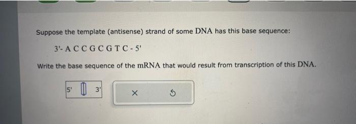 Suppose the template (antisense) strand of some DNA has this base sequence:
3- A C C G C G T C - 5
Write the base sequence 