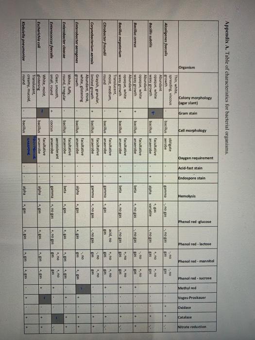 BIO 27 - Principles of Microbiology Identification of | Chegg.com