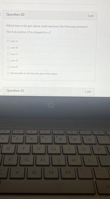 After getting an idea of where sec13 is located in | Chegg.com