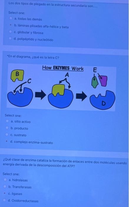 Los dos tipos de piegado en la estructura secundaria son Select one: a. todas las demás b. láminas plisadas alfa-hélice y bet