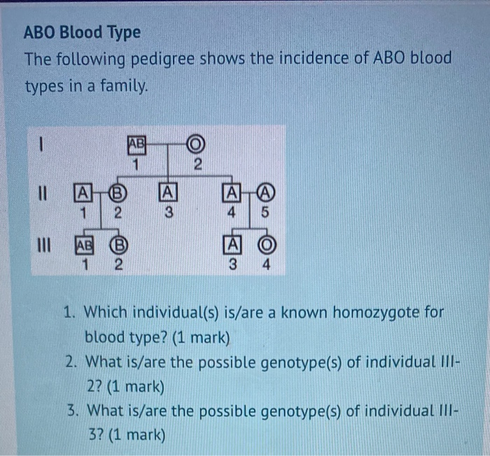 Pedigree Chart Blood Type