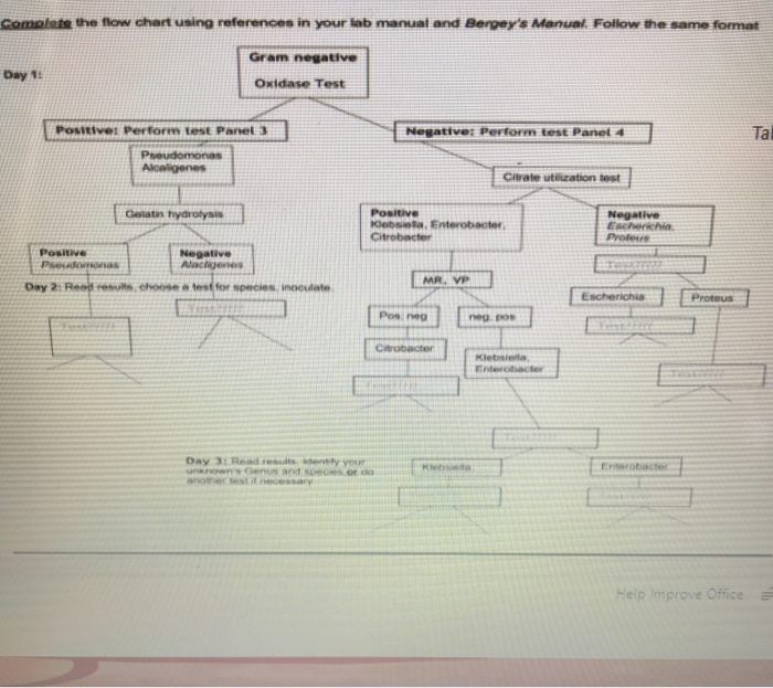 Bacterial Identification Bergey S Manual Flow Chart