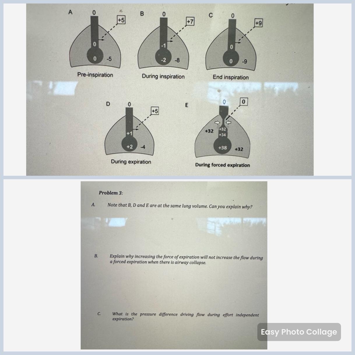 Solved Please Answer A, ﻿b, ﻿and C As It Pertains To The | Chegg.com