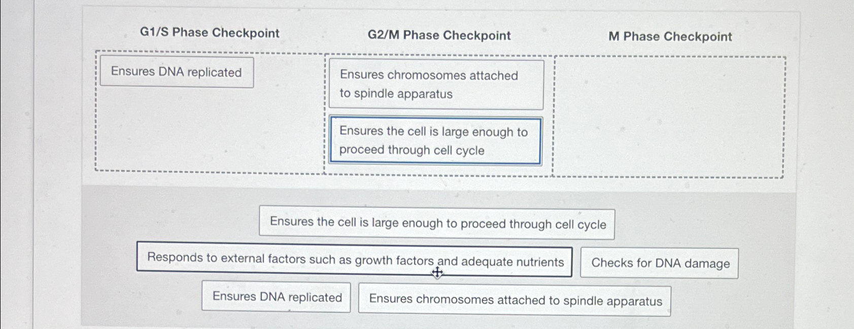 Solved G1/S Phase CheckpointG2/M Phase CheckpointM Phase Biology Diagrams