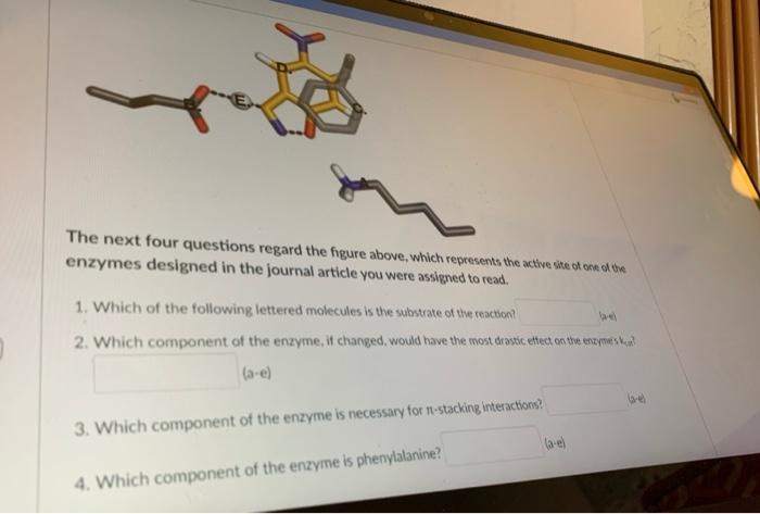 Solved Vo [Substrate] Match the enzyme kinetics curves above | Chegg.com