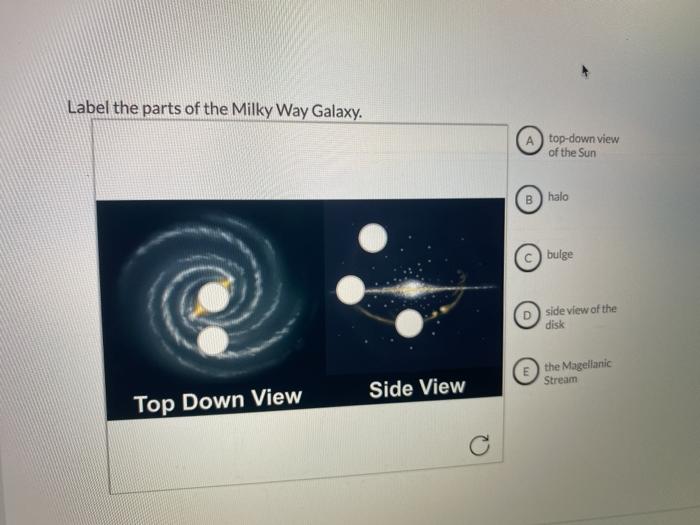 Solved Label the parts of the Milky Way Galaxy. top-down | Chegg.com