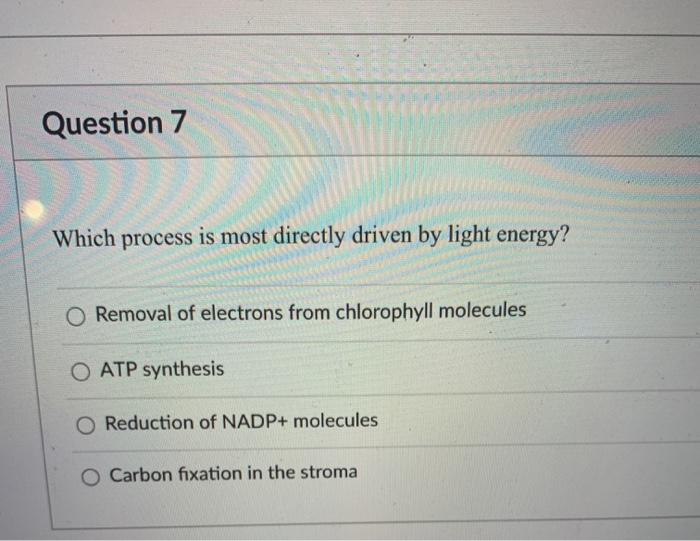 Solved Question 7 Which process is most directly driven by | Chegg.com