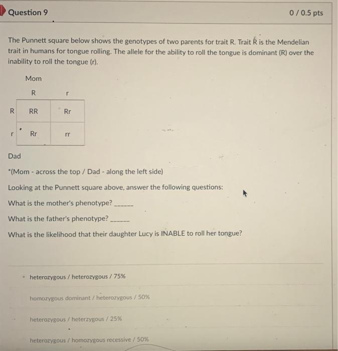 Solved Question 2 0/0.5 pts Complete a Punnett square for | Chegg.com