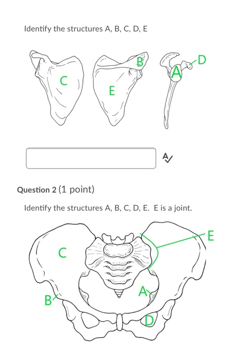 Solved Identify the structures A, B, C, D, E ho E A Question | Chegg.com