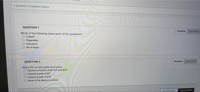 Solved Question Completion Status: 10 points QUESTION 1 | Chegg.com