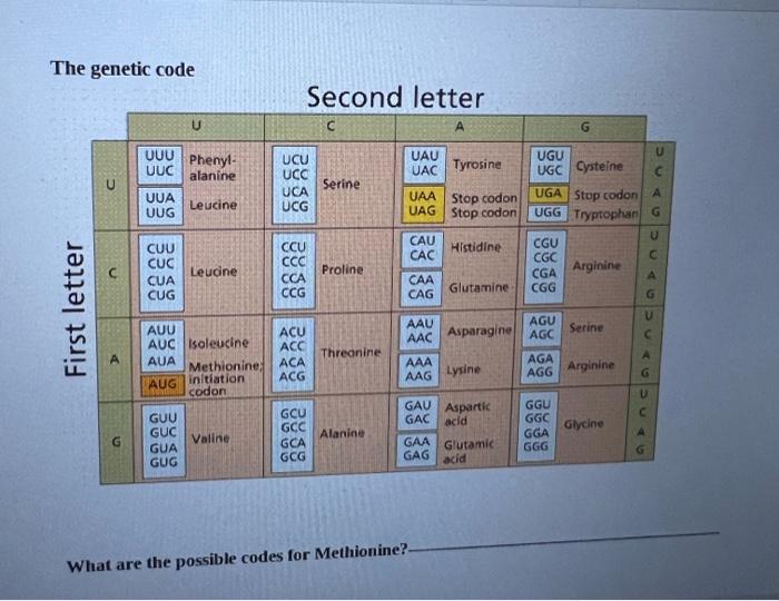 Solved The genetic code What are the possible codes for | Chegg.com