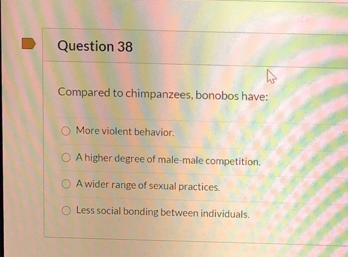 Solved Question 38 Compared to chimpanzees, bonobos have: O | Chegg.com