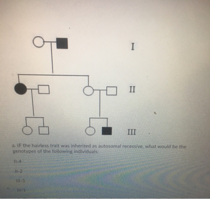 Solved I II III a. If the hairless trait was inherited as | Chegg.com