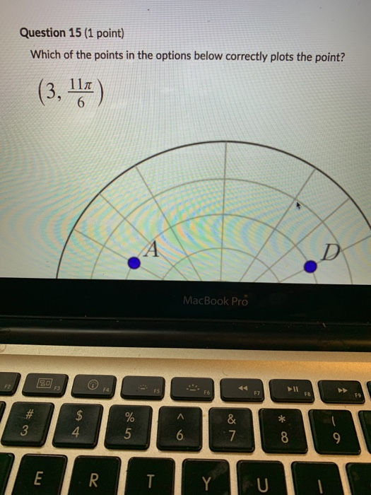 Solved Question 15 (1 point) Which of the points in the | Chegg.com