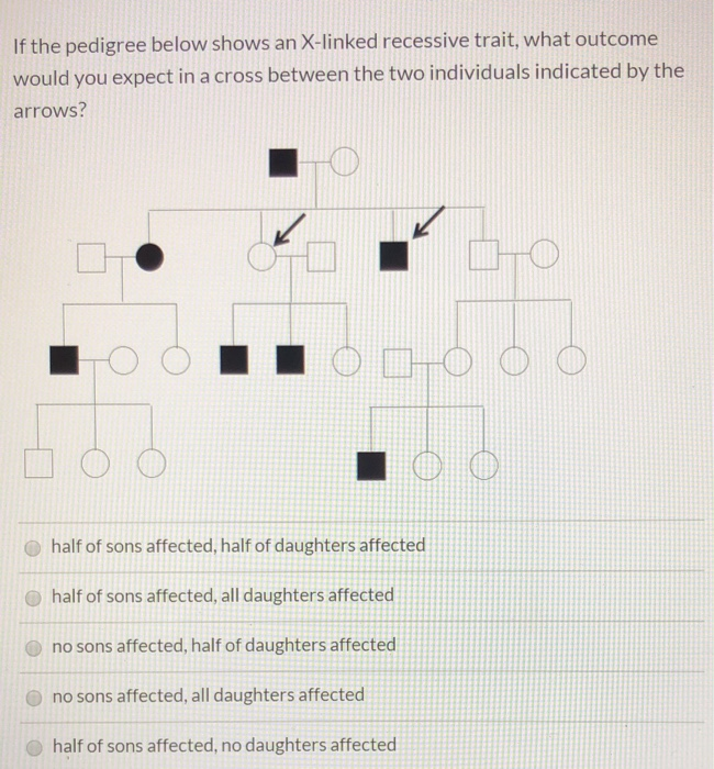 Solved If the pedigree below shows an X-linked recessive | Chegg.com