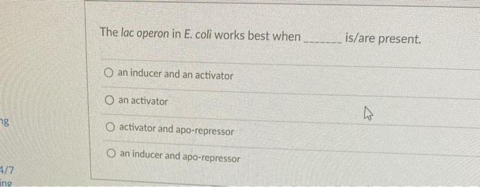 Solved The lac operon in E. coli works best when is/are | Chegg.com