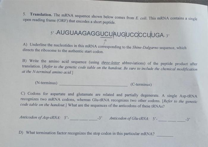 Solved 5. Translation. The mRNA sequence shown below comes | Chegg.com