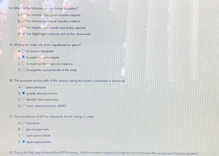 Solved 14. Which of the following occurs during inhalation? | Chegg.com