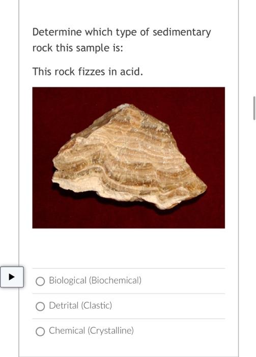 Question 10 What type of sorting does this | Chegg.com