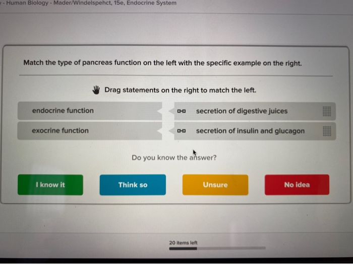 Solved match the type of pancreas function on the left with | Chegg.com