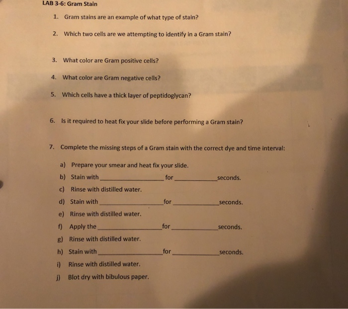 Solved LAB 3-6: Gram Stain 1. Gram stains are an example of | Chegg.com