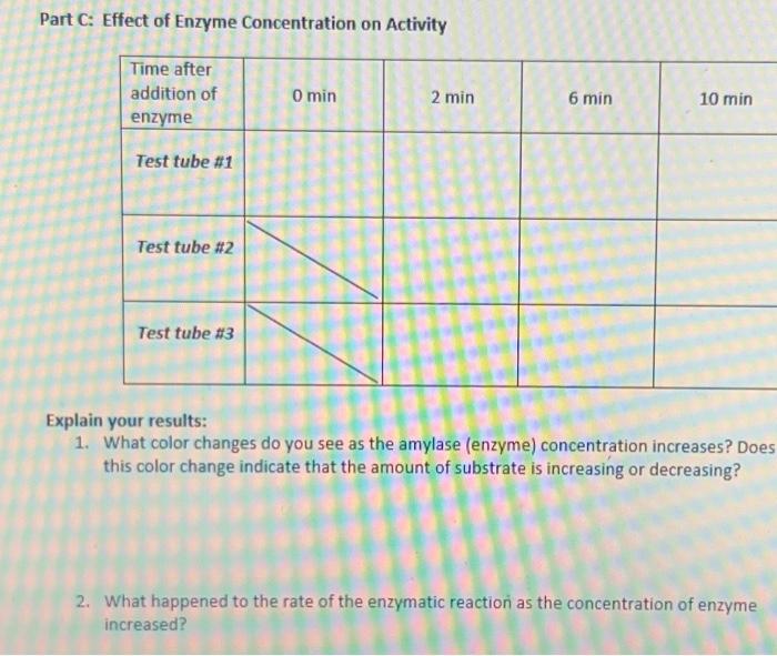 Solved Part C: Effect of Enzyme Concentration on Activity | Chegg.com