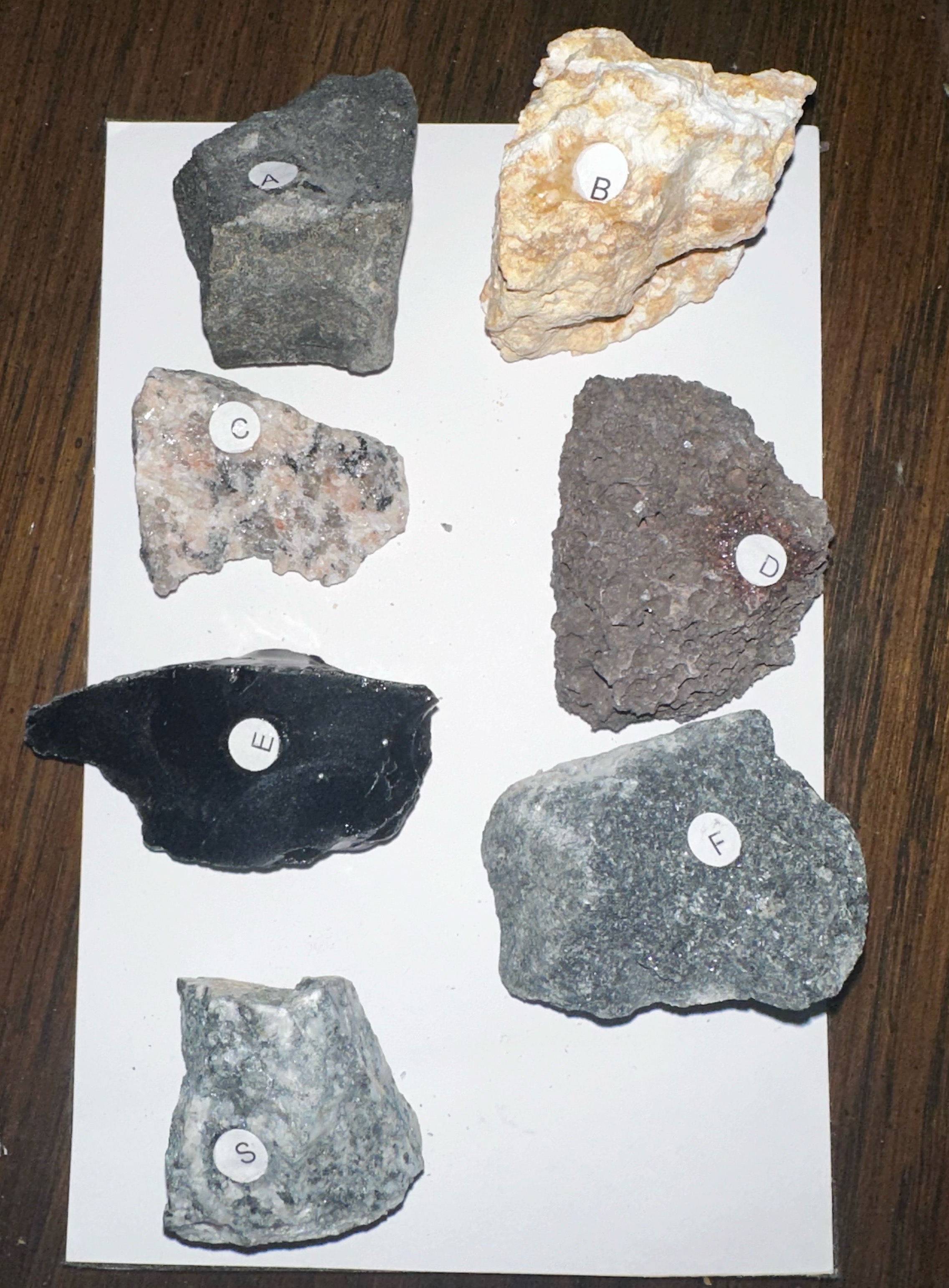 Solved The rocks below are all igneous rocks labeled A-F, | Chegg.com